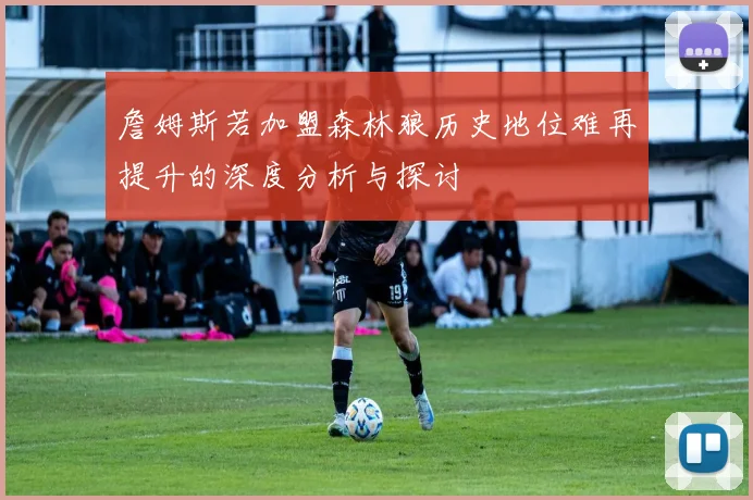 詹姆斯若加盟森林狼历史地位难再提升的深度分析与探讨