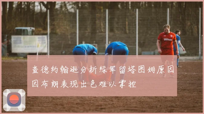 查德约翰逊分析绿军留塔图姆原因因布朗表现出色难以掌控