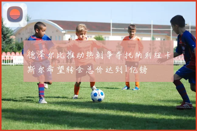 德泽尔比推动热刺争夺托纳利纽卡斯尔希望转会总价达到1亿镑
